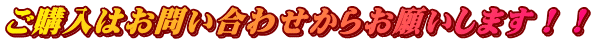 ご購入はお問い合わせからお願いします！！